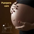 Upgraded 350Ml Portable Travel Handheld Bidet Sprayer Personal Cleaner Hygiene Bottle Spray Washing Tool for Pregnant. 