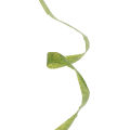 30M Self-adhesive Green Paper Tape Grafting Film Floral Stem Garland Wreaths DIY Sunlight Super Store. 