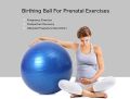 65cm Yoga Ball Exercise Ball , Anti-Burst & Non-Slip Fitness Ball Birthing Ball with Quick Pump- Home Gym Office Chair Ball. 