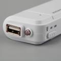 LALA Universal USB Emergency Portable 2 AA Battery Power Charger for Mobile Phones. 