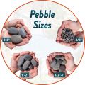 Sea/Beach Pebbles | 2 kg of Smooth Polished Stones | Hand-Picked, Premium Pebbles for Garden and Landscape Design | Mixed, 3 Inch - 5 Inch. 