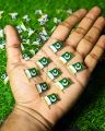Pakistan Badges (6 Pcs) Pakistan Flag Metal Badge 14 August Badge Premium Quality Badges Azadi, Badges pakistan Badge In Very Cheap Price. 