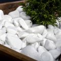 White big Pebbles/ Stones for Garden and Aquarium  1 kg pack. 