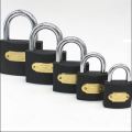Heavy Duty China Padlock - Taala  2.5'' 63mm with 3 keys (Golden or Black). 