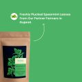 Tea Trunk Spearmint Leaves  50g| Natural | Calming Tea for Relaxation | Caffeine Free - 50 Grams. 