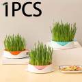 Planting Box Grass Planter Tray Soilless Germinating Trays Reusable Tray Tray for Garden Home. 