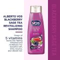 (Pack of 2) WBM VO5 Revitalizing Shampoo with Blackberry Sage Tea and Herb Extract | Shampoo for Healthy Hair. 