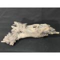 Driftwood for Aquarium 15x8 Inches. 
