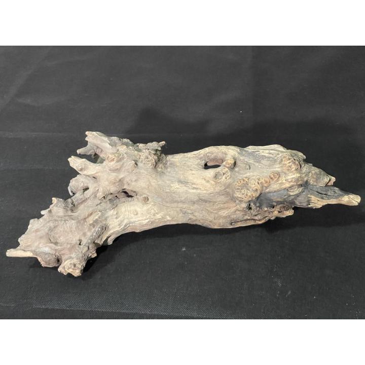 Driftwood for Aquarium 15x8 Inches