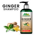 Ginger Shampoo – Reduce Hair Loss, Detoxifies Hair Strands, Prevents Scalp Itchiness & Restores Hair Manageability. 