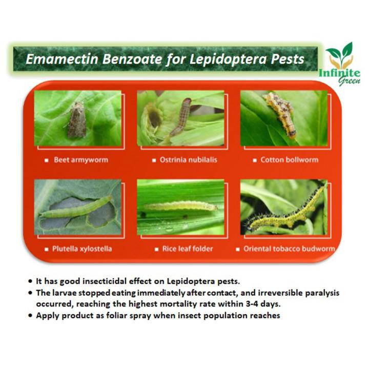 Sundi سنڈی Pest killing Powder  Emamectin Benzoate for Lepidoptera Pests 10 Gram Powder