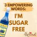 Melina - Blueberry Sugar Free Flavored/Flavoured Syrup- 750ml/Mocktail syrup. 