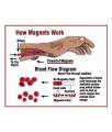 Blood Pressure Control Magnetic Bracelet For women. 