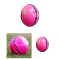 Indoor Rubber Cricket Ball - Pink - 70gm. 