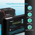 Renogy Voyager 20A PWM Solar Charge Controller | Waterproof IP67 | LCD Display | 12V/24V System | Compatible with Sealed, AGM, Gel, Flooded & Lithium Batteries | Efficient & Reliable Solar Regulator for Off-Grid Charging. 