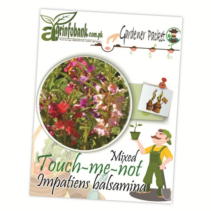 Touch-me-not, Impatients balsamina, mixed flower seeds