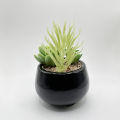 Black Ceramic Pot With Artificial Plant And Pebbles Home Decor. 