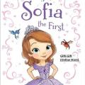 Sofia the first Cartoon Coloring & painting art Book For Kids. 