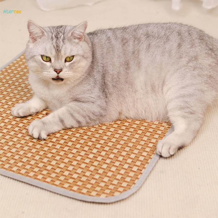 Cooling%20Mat%20Easy%20Carry%20Pet%20Cat%20Cooling%20Cushion%20for%20Bed%20Cats%20blue%20-%20Image%202