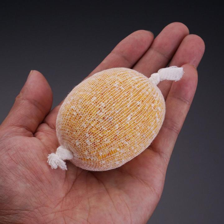 5m PVA Soluble Fishing Net Refill Stocking Feeder Trap Bait Bag Protect ...