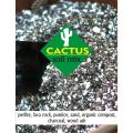 10 Kg Professional Cactus Soil Mix Compost For Cactus Succulent. 