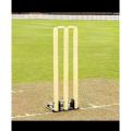 Best Cricket Wicket with Base Spring Back Cricket Stumps. 