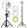 26 cm Ring Light + 7ft Tripod Stand for tiktok and youtube videos - Tiktok Ring light With Stand. 