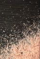Black Salt - Kala Namak - Black Salt Powder - 250gm. 