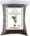 House Plant and Tropical Plant Potting Soil, Re-Potting Soil for All Types of Indoor House Plants, House Plant Re-Potting Soil, 1 kg. 