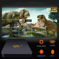 4K ultra HD Q96 L2 android 10 5G dual wifi bluetooth support android tv box, 4K Ultra HD,  Android 10, TV Box WIFI 4K Q96 MAX Smart TV Box 4G Set Top Box Android 11.0 Media Player Android S905 Quad Core Android TV Box HD Smart Box. 