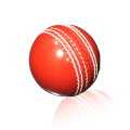 Sports Soft Indoor Rubber practice ball Cricket Ball Practice Ball-PRACTICE BALL GOOD QUALITY-Cricket Ball. 