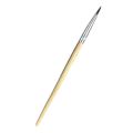 Lip & Eye Liner Brush. 