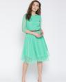 The-Ajmery Sea Green Net Mini Fit And Flare Dress For Women. SS-255. 