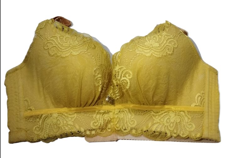 New Double Hard padded Bra/Bridal Bra With Makaish Work /Net Bra With  Jersey Lining / Hottest