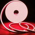 High Quality RED Neon LED Strip Lights,12V DC 600 SMD2835 LEDs Waterproof Rope Light for Indoor & Outdoor Home Decoration (No Power Adapter）. 