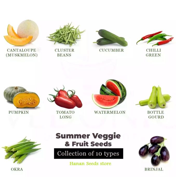 Summer Vegetables and Fruits Seeds with Gift Seeds