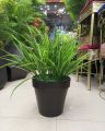 Artificial Plants for Home Decor Indoor, Faux Plants, 12 leaves Plants for Living Room Decor 1.8 ft Height. 