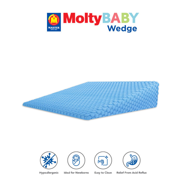 MoltyBaby Wedge Pillow