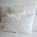 Duck Feather Pillow -  Pack of 2. 