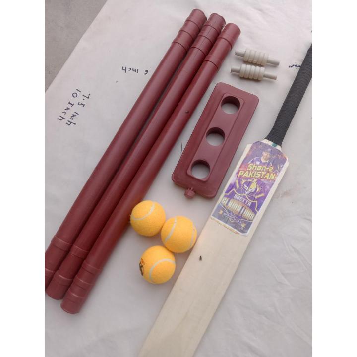 Beginner's Cricket Set for Kids - Wooden Bat for kids , Plastic Wicket, and 3 Premium Grade Balls