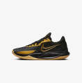Nike Precision 6. 