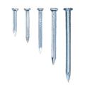 Steel Concrete Nail Original Taiwan Thumb 2" Best Quality. 