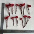 5~15CM/12PCS Natural Dried Preserved Millet Flower,Dry Tiny Ozothamnus Diosmifolius Flowers DIY For Candle Making Supplies,Resin. 