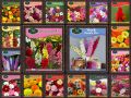 20 Pack Winter Flower seeds for Garden. 