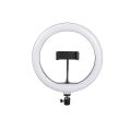 BD-300 Ring Fill Light – 10-Inch LED Selfie Ring Light with Tripod Stand & Phone Holder for Makeup, Live Streaming, and Photography. 