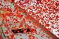 Artificial Party Poppers With Rose Petals confetti Celebrations Pack Of 3 Large Size By Rainbow zone. 