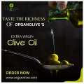 1st Pakistani Natural Wild Extra Virgin Olive Oil 250Ml. 