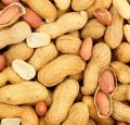 Peanuts Whole \ Mong Phali | 250g. 