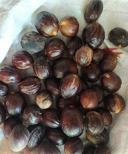 Jaifal (Nutmeg) 100g