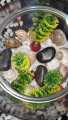 Fishes Tank Aquatic Aquarium Home Decorative Fish Bowls Table(Large Size). 